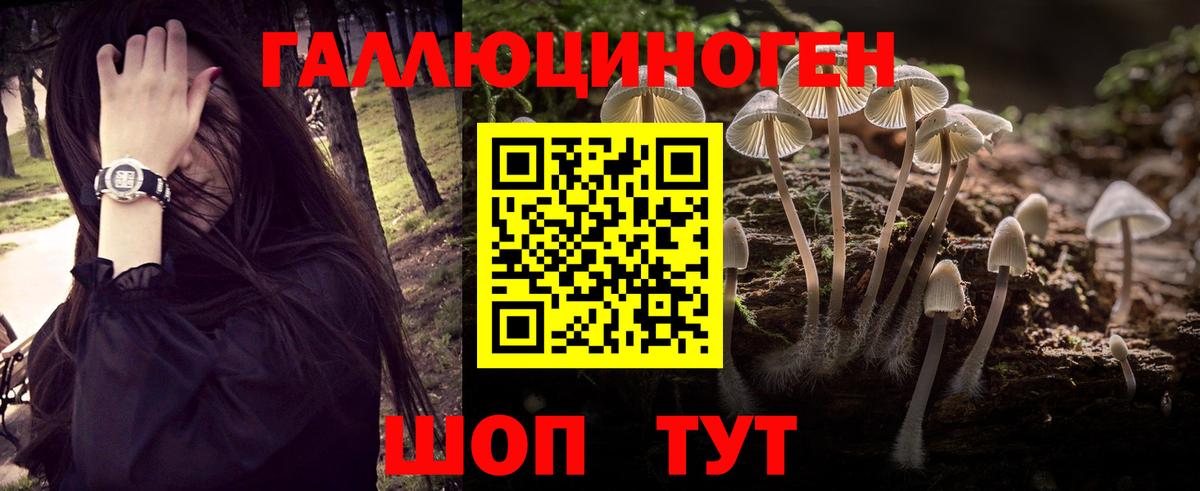 где продают наркотики  Галлюциногенные грибы мицелий  Вход с VPN  Южноуральск 